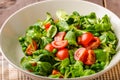 Lamb lettuce salad with tomato Royalty Free Stock Photo