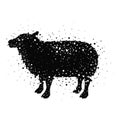 Lamb livestock animal design Royalty Free Stock Photo