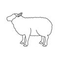 Lamb livestock animal design Royalty Free Stock Photo