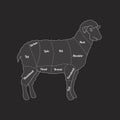 Lamb Meat Thin Line Farm Animal. Vector