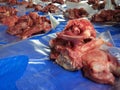 Lamb raw meat isolated on blue