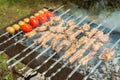 Lamb ribs barbequed on a skewer Royalty Free Stock Photo