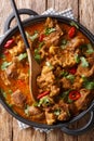 Lamb rogan josh close-up in a pan. Vertical top view Royalty Free Stock Photo