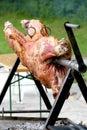 Lamb rotisserie