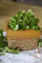 Lamb's lettuce in wooden box