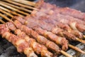 Lamb shashlik Royalty Free Stock Photo