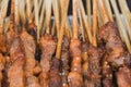 Lamb shashlik Royalty Free Stock Photo