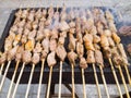 Lamb shashlik Royalty Free Stock Photo