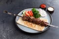 Lamb shashlik on a skewer in a plate Royalty Free Stock Photo