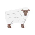 Lamb, sheep icon. Vector illustration Royalty Free Stock Photo
