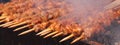 Lamb skewers on the charcoal fire Royalty Free Stock Photo