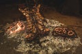 Cow ribbs on the spit, Royalty Free Stock Photo