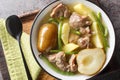 Lamb stew with pears, potatoes, green beans in a spicy sauce close-up in a bowl. horizontal top view Royalty Free Stock Photo