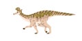 Lambeosaurini, prehistoric ancient dinosaur. Extinct big large dino with crest, side view. Prehistory reptile animal of