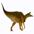 Lambeosaurus Dinosaur Tail