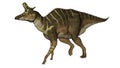 Lambeosaurus dinosaur walking - 3D render