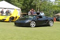 Lambo driving on lawn Royalty Free Stock Photo