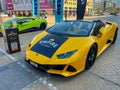 Lamborghini cars