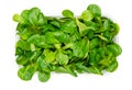 Lambs lettuce, fresh picked cornsalad, in plastic container from above Royalty Free Stock Photo