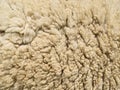 Lambswool texture Royalty Free Stock Photo