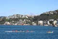 Lambton Harbour Oriental Bay, Wellington, NZ Royalty Free Stock Photo