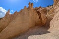 Lame Rosse