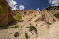 Lame Rosse