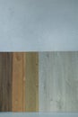 Laminate texture, laminate sample palette. Oak, douglas, ash, walnut laminate texture isolated on white background with clipping Royalty Free Stock Photo