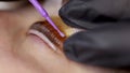 Lamination of cilia on the eyes the master straightens the eyelashes with the help of micro brushes