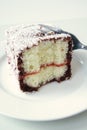 Lamington Royalty Free Stock Photo