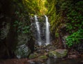 Lamington National Park Waterfall Royalty Free Stock Photo