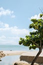 Lamma Island Hung Shing Yeh Beach in Hong Kong