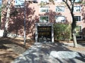 Lamont Library, Harvard Yard, Harvard University, Cambridge, Massachusetts, USA Royalty Free Stock Photo