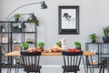 Lamp above black chairs and wooden table with food in grey dining room interior with poster Royalty Free Stock Photo