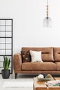 Lamp above brown leather sofa in living room with plant and wooden table. Real photo