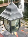 Lamp above the carp pond