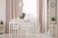 Lamp above table and white chairs in pink dining room interior with plants and drapes. Real photo Royalty Free Stock Photo