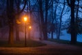 Lamp in the city park during dawn Royalty Free Stock Photo