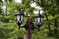 The lamp in the forest