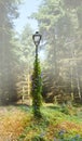 Lamp in forrest Royalty Free Stock Photo