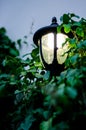 The lamp in the garden beside the house