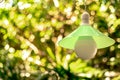 Lamp green hanging has white light bulbs