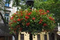 Lamp with hanging flower baskets