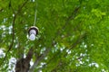 Lamp hanging under the tree in the garden. Royalty Free Stock Photo