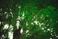 Lamp hanging under the tree in the garden. vintage tone. Royalty Free Stock Photo