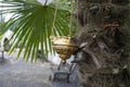 A lamp for icons in the Kamansky monastery in the Republic of Abkhazia