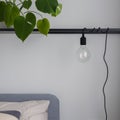 Lamp made from lightbulb on shelf, close-up