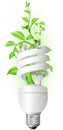 Lamp with plant Royalty Free Stock Photo