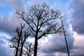 Lamp post against cloudy dutch sky