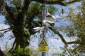 A lamp post with CCTV surveillance cameras installed against a backdrop of trees